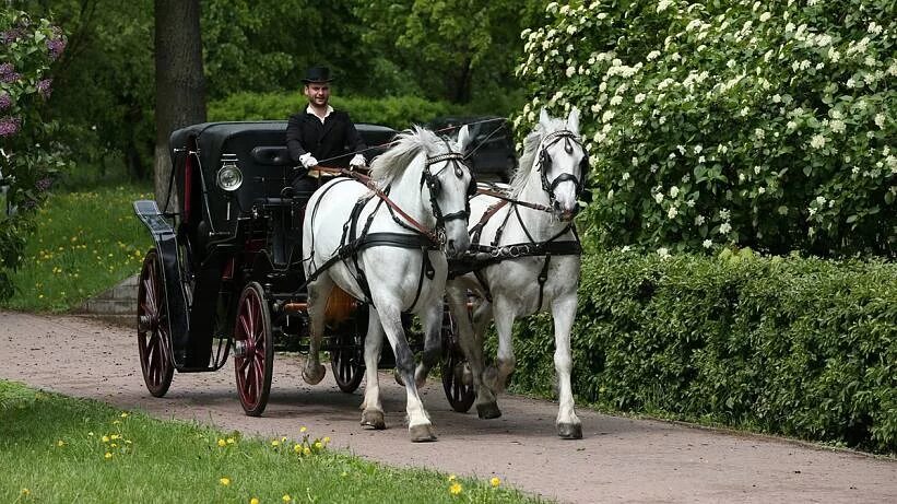 Дорогой экипаж. Экипаж с лошадьми. Карета с лошадью. Дилижанс в англии 19 век. Конные повозки и экипажи.