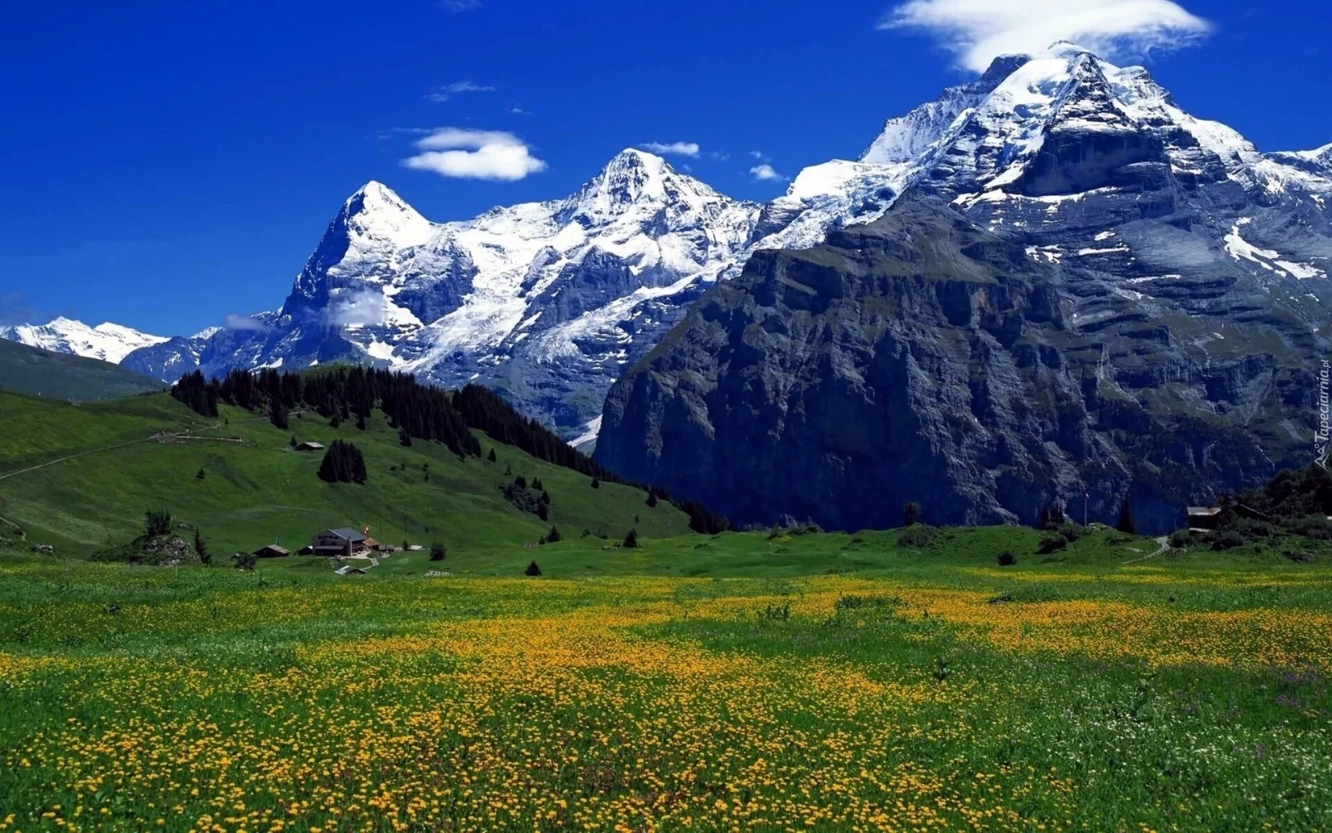 Горы по фен шуй. Фото альпийские луга швейцарии. самые красивые горы. картинки гор. гора фэн шуй.