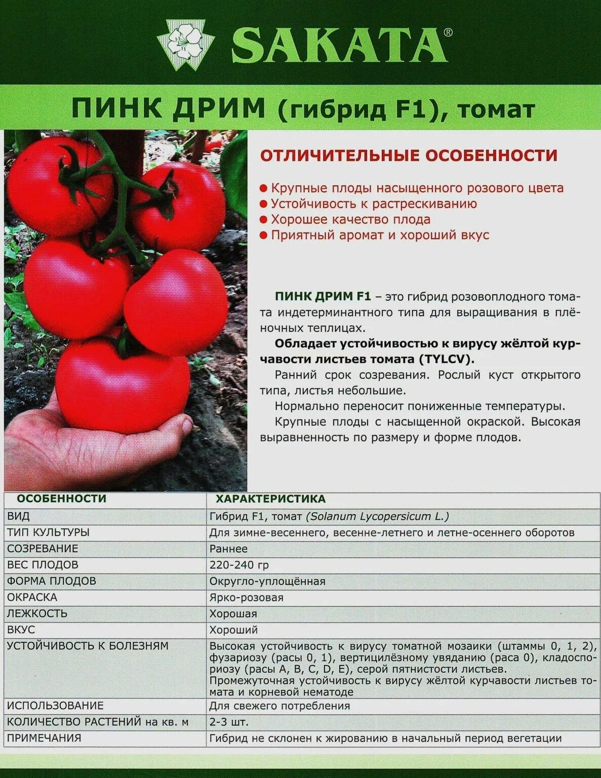Solved! How to Overcome 11 Common Tomato Plant Problems Plantas de tomate, Sembr