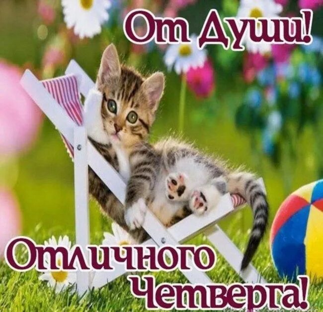 Удачного утра четверга. Доброе утро четверга. Открытки с добрым утром четверга. Пожелания с добрым утром прикольные. Доброе утро удачного четверга и хорошего настроения.