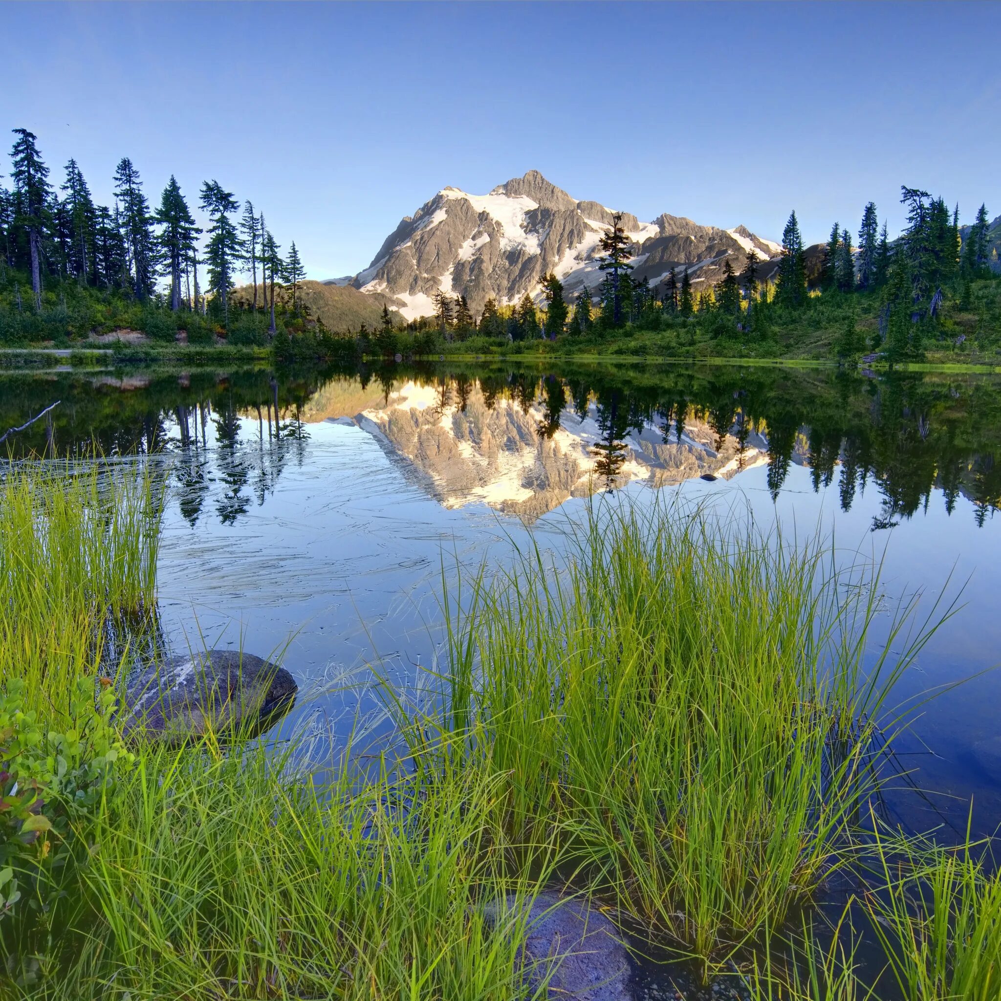 Пруд в горах. Озеро чиф калифорния. Горный пруд. Мультинские озера. Озеро рокалуччи.