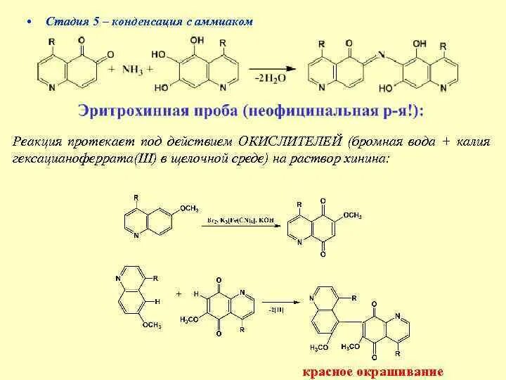 Таллейохинная проба на производные хинолина. Талейохинная проба на хинин. Хинина гидрохлорид таллейохинная проба. Хинина гидрохлорид Эритрохинная проба.