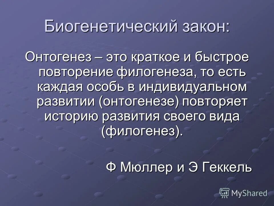 Филогенез закон