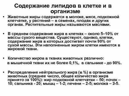 Чем липиды отличаются от жиров