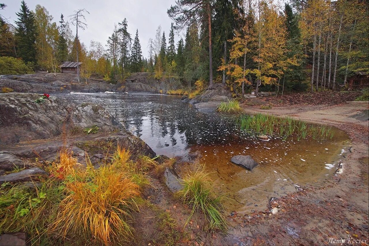 Karelia pro