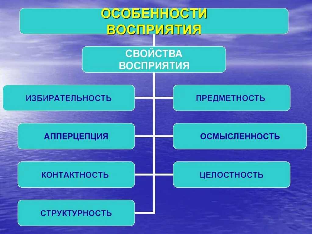 Изучение особенностей восприятия