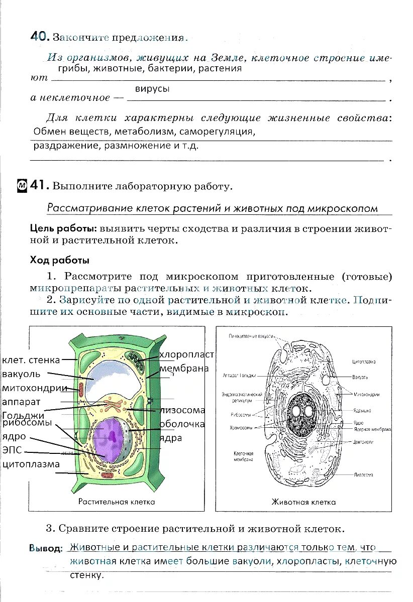 Растительная клетка лабораторная. Биология 6 класс Пасечник строение клетки растения. Биология 9 класс Пасечник строение растительной. Гдз по биологии 9 класс Пасечник рабочая тетрадь. Биология 9 класс Пасечник стр 8-10.