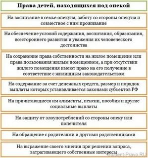 Опекун имеет право на квартиру