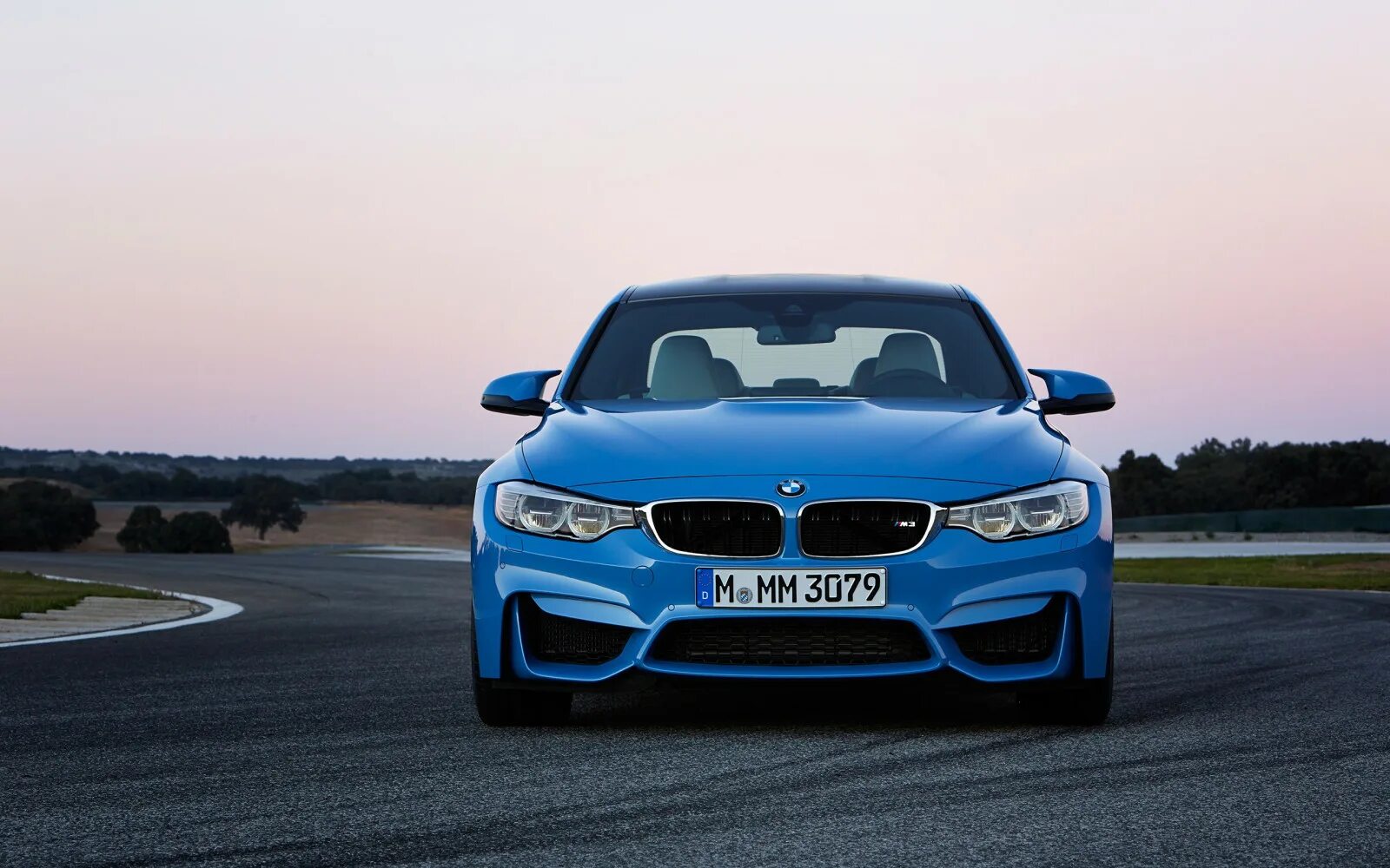 3 m ф ф. BMW m3 2014. БМВ m3. BMW m3 f80 2015. BMW m3 2013.