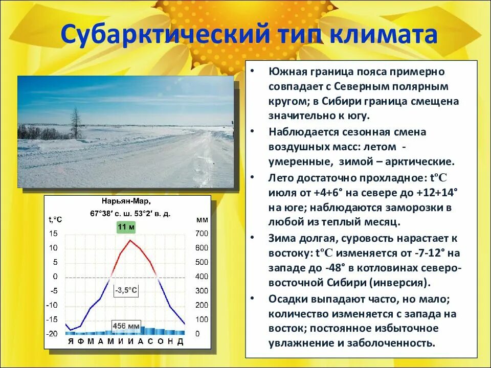 Амплитуда температур умеренного пояса. Климат. Характеристика климата. Арктический климатический пояс. Климат России 8 класс.