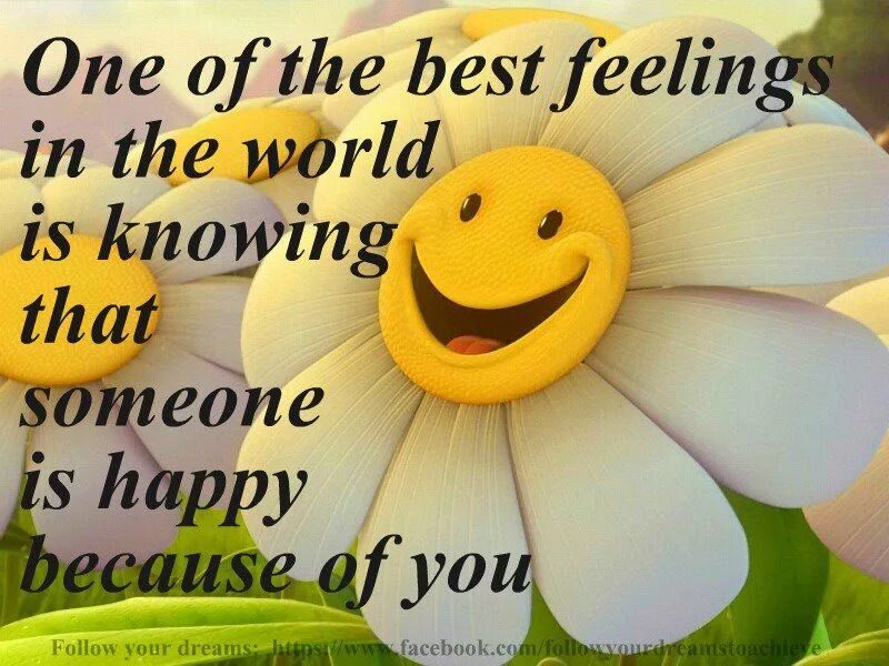Because it felt good. Happiness quotes in English. Quotes about Happiness. Happiness sayings. Quotes in English about Happiness.