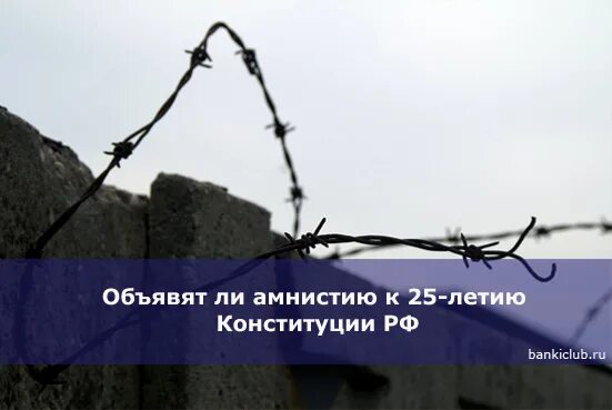 В каком году будет амнистия и по каким статьям. Будет ли амнистия в 2020 году в каком месяце и по каким статьям. Амнистию в России объявляет. Амнистия Конституция. Объявлена ли амнистия