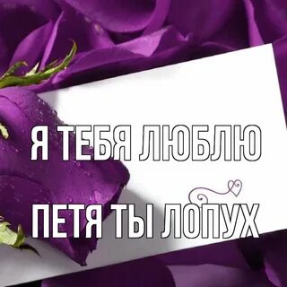 Люблю петю