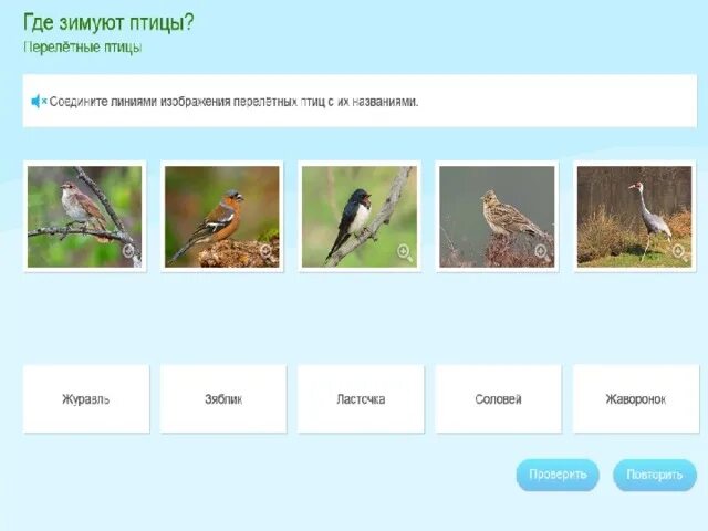 Тест по теме класс птицы ответы. Где зимуют перелетные птицы. Где зимуют птицы тест. Места зимовок перелётных птиц. Знаете ли вы этих птиц соедините линиями рисунки и названия.