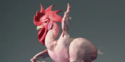 Чокнутая птичка