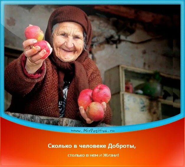 Сколько бабушек бывает