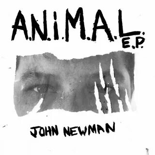 Newman перевод песни