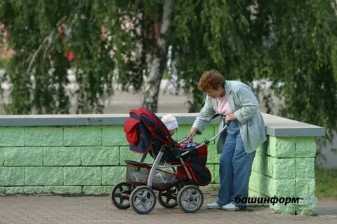 Социальная няня