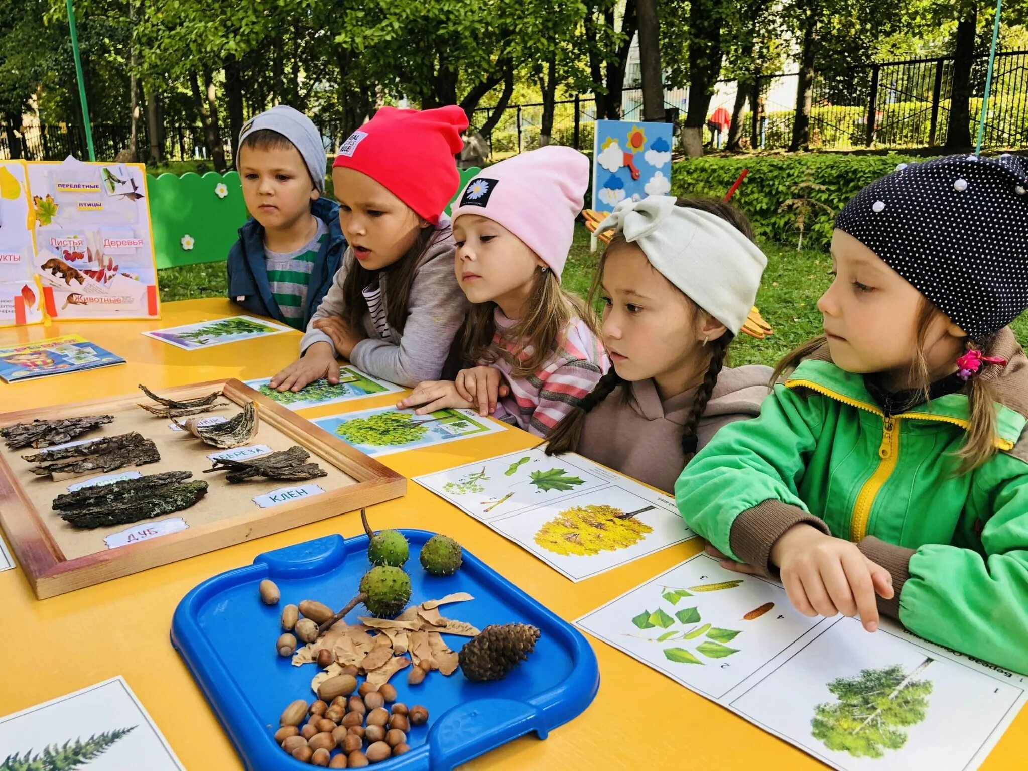 Занятие по экологии. Экологическая экскурсия в детском саду. Занятия в саду. Экология в детском саду.