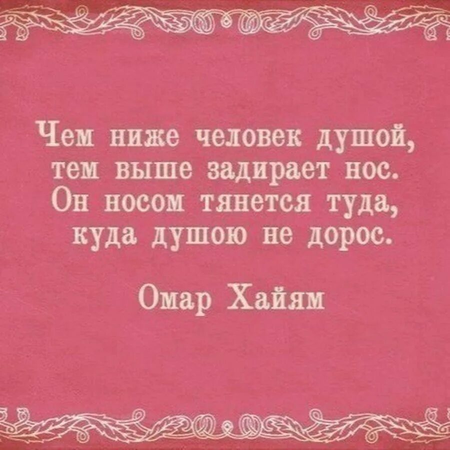 Песня а меня тянет туда где. Чем ниже человек душой тем выше задирает нос картинки. Носом тянется туда куда душою не дорос. Задирает нос он носом тянется. Куда душою не дорос Омар Хайям.