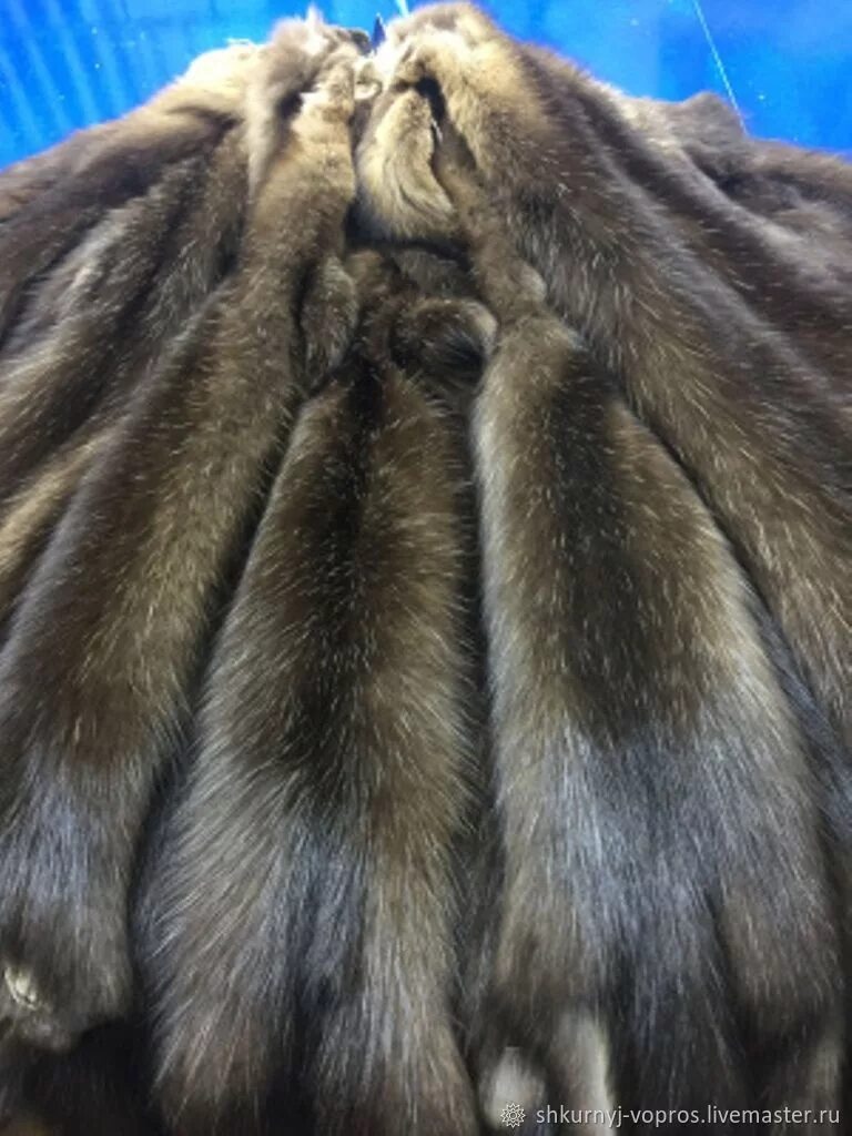 Шуба из меха соболя с английским воротником Выгодные цены на элитные меха от про