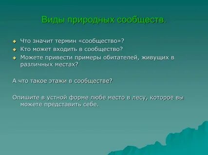 Приведи примеры строительства
