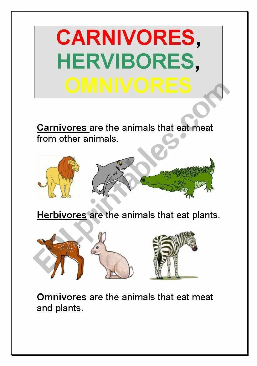 Carnivore перевод. Herbivore Carnivore Omnivore Worksheet. Carnivores Herbivores Omnivores list. Herbivore перевод. Herbivore животные на английском травоядные.