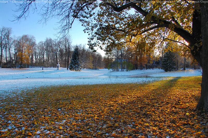 Поздняя осень и наступление зимы. С наступлением зимы. Пейзаж наступающей зимы. Наступила зима. С наступлением зимы картинки.