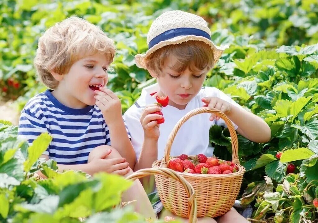 сюжетные картинки. что люди делают летом. рисунок лето. занятия детей летом. лето природа.