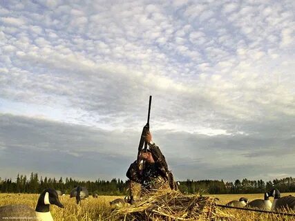 Охотясь вид