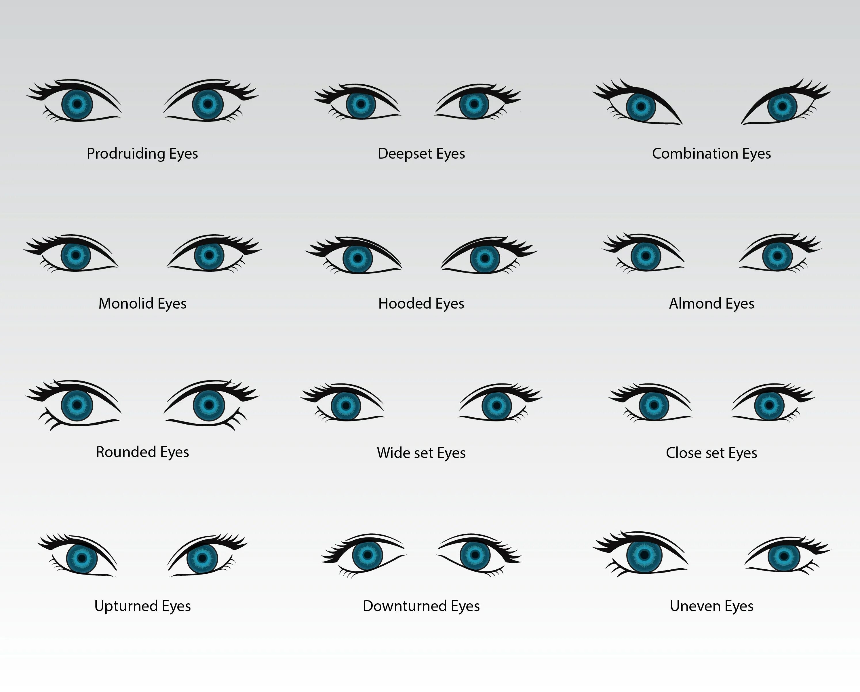 Form eyes. Формы глаз вектор. Виды глаз. Форма глаз виды. Миндальная форма глаз вектор.