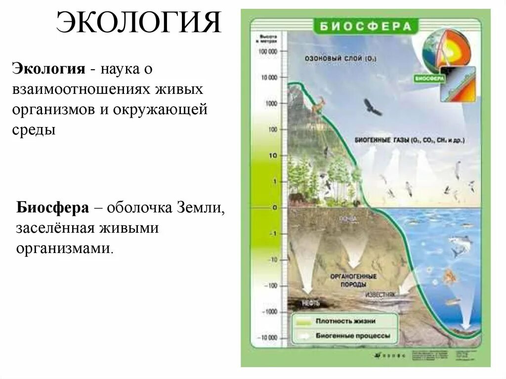 Биосфера это в экологии. Биосфера оболочка земли заселенная живыми организмами. Биосферная экология. Экология это наука.