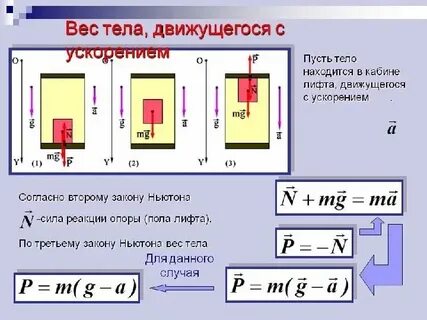 Вес тела 10 найдите