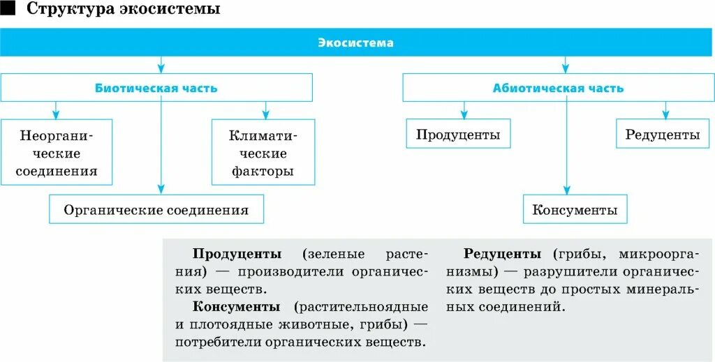 Экосистемная организация природы компоненты экосистем 9 класс. Экологическая структура экосистемы таблица. Структура экологической системы схема. Состав компонентов экосистемы. Структуры компонентов экосистемы.