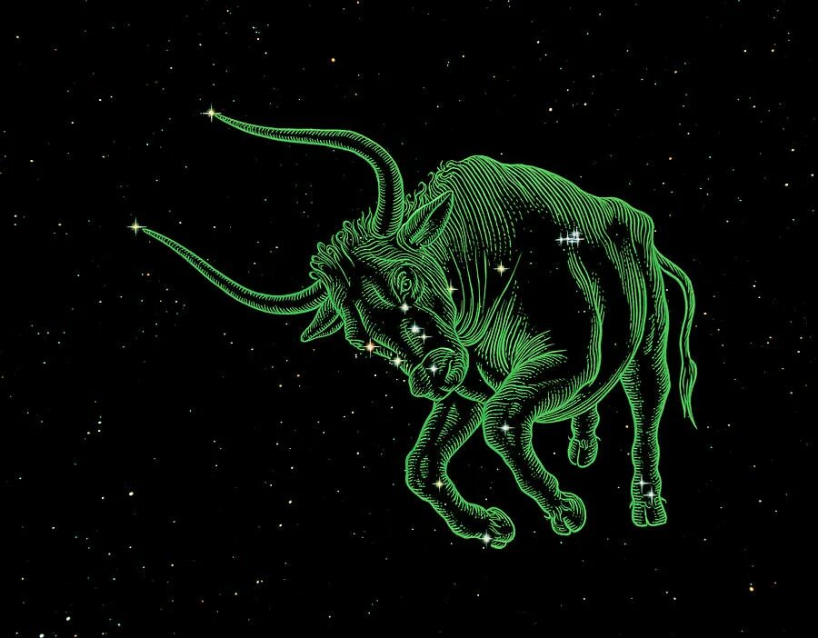 Камни телец бык. Taurus талисманы. holocerus taurus. taurus avatar. арты знаков зодиака скорпион и телец.