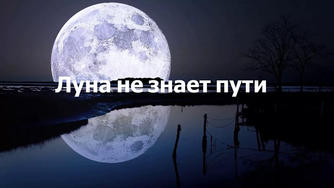 Луна не знает пути. Луна не знает пути обложка. Картинка Луна не знает пути. Фото Луна не знает пути фото.