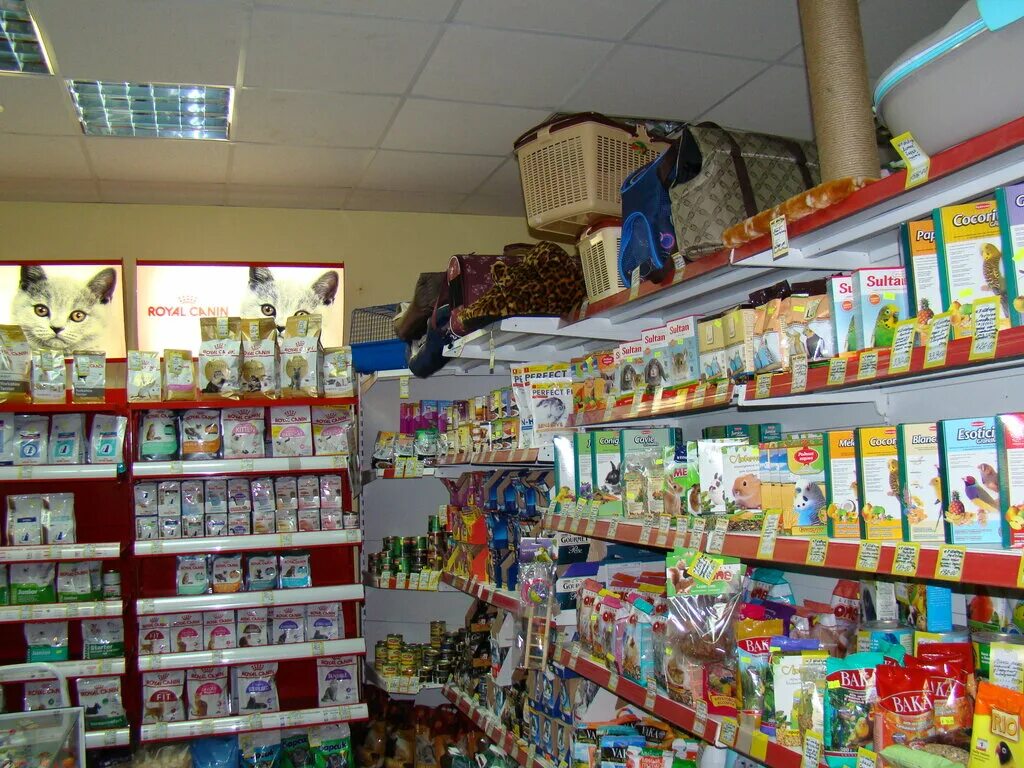 зоомагазин. где зоомагазины в москве. где зоомагазины в москве. зоомагазины в москве. самый большой зоомагазин в москве с животными.