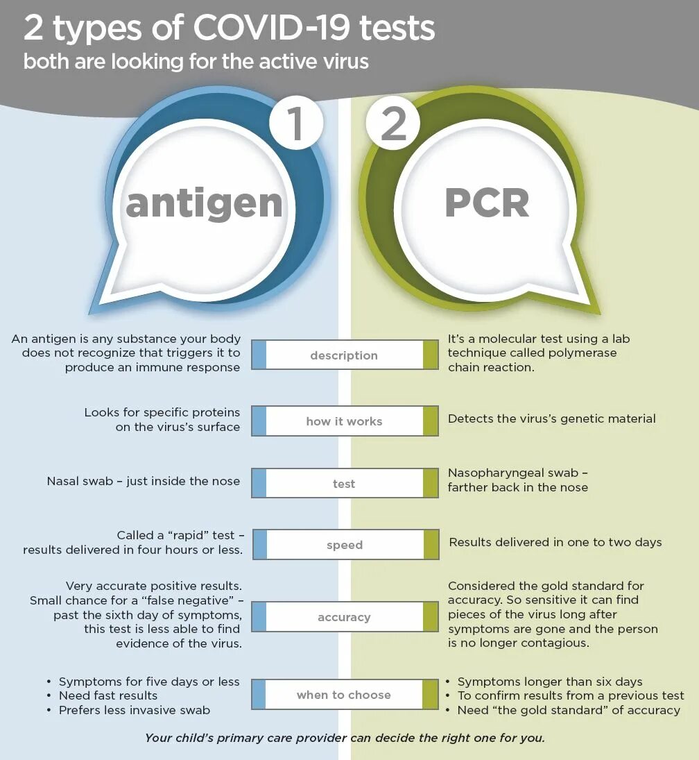 The results of the tests are. Pcr test for covid 19. pcr results. test different. pcr brochure.