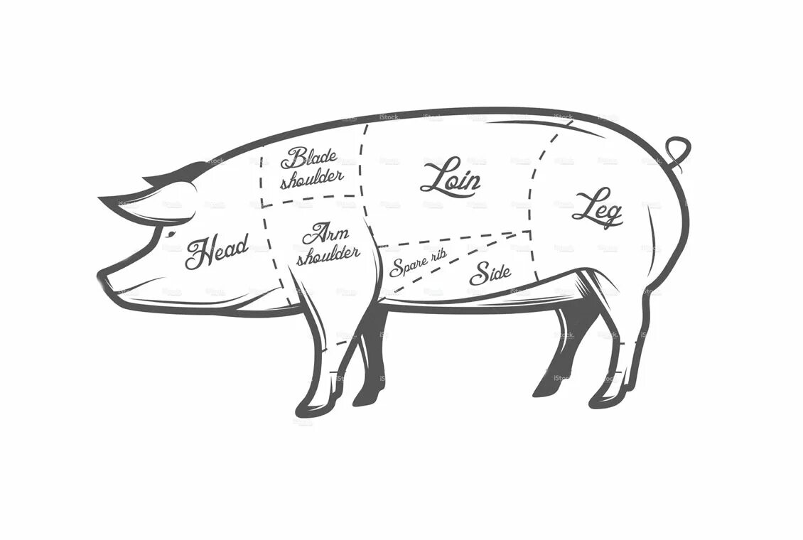 туши 4 буквы