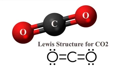 Масса молекулы углекислого газа co2