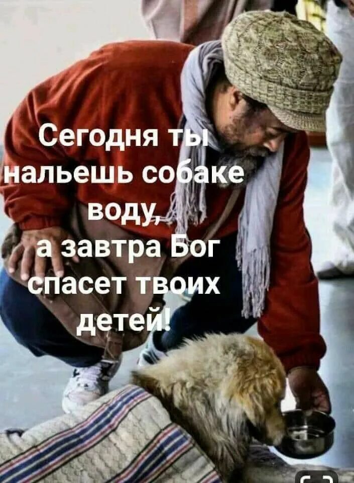 Бог который спасал людей. Сегодня ты нальешь собаке воду а завтра бог спасет твоих детей. когда делаешь людям добро то добрые люди это ценят равнодушные. бог спасет. сегодня ты нальешь собаке воду.