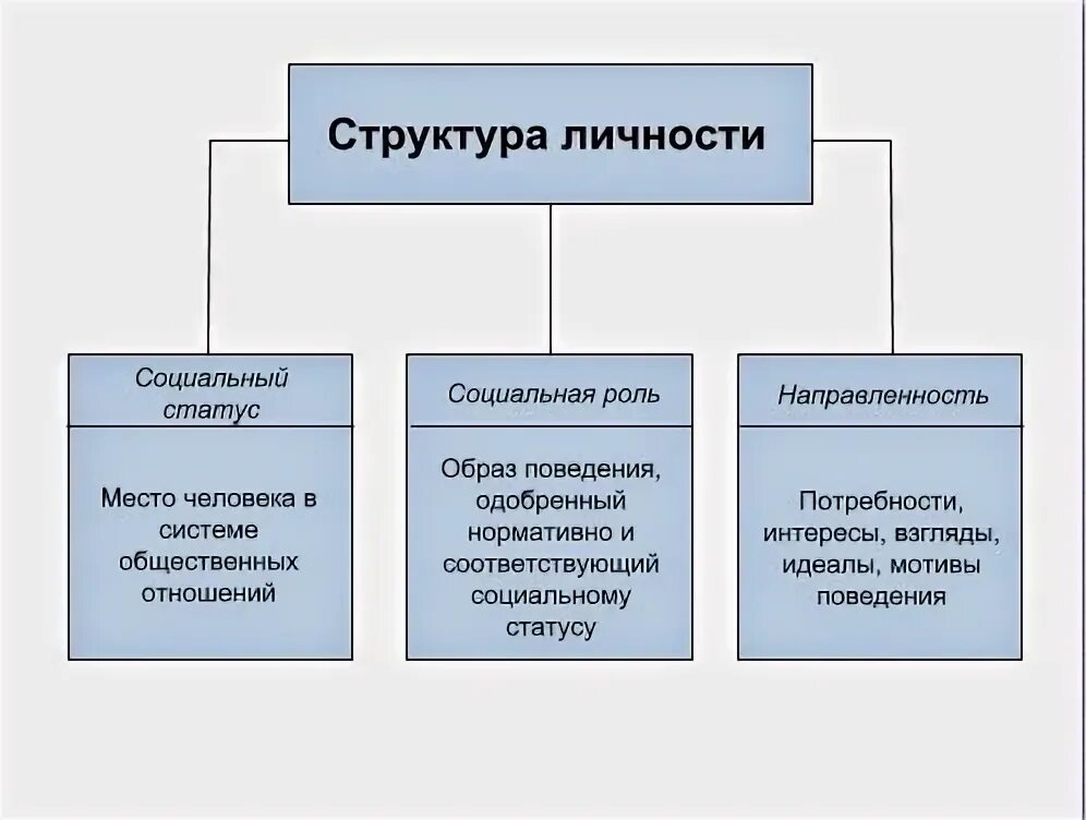 Элементы социальной структуры личности. Обобщенная структура личности схема. составить схему структура личности. основные элементы структуры личности в психологии. компоненты, входящие в структуру личности.