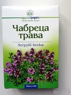 Чабрец польза и вред для здоровья трава