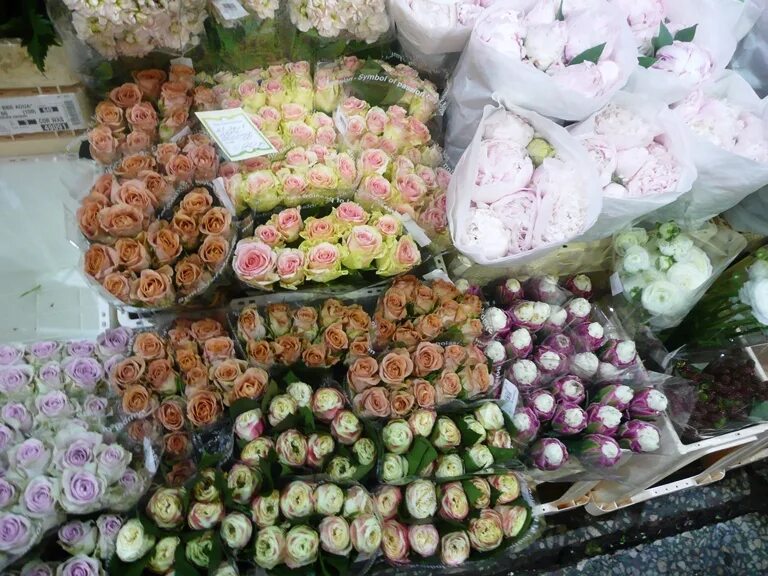 Рижский рынок цены на цветы 2024. Рижский рынок эвкалипт. Рижский рынок кустовые розы. Рижский рынок цветы.