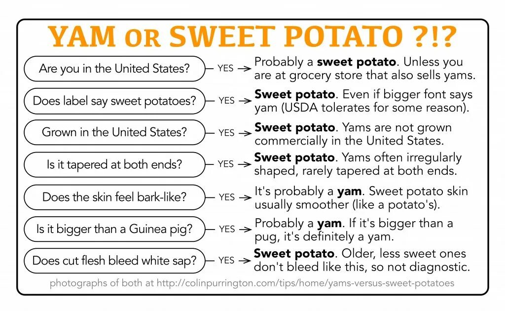 Классификация картофеля. We like potatoes или we likes potatoes. Sea potato. A potato или some. Украинская кухня презентация.