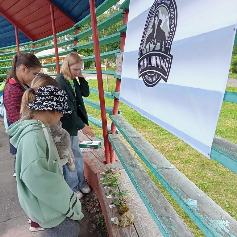 Лагерь журавленок шушенское 2023. Детский лагерь журавленок. Детский лагерь журавленок в шушенском. Детский лагерь журавленок в шушенском. Оздоровительный лагерь журавленок шушенское.
