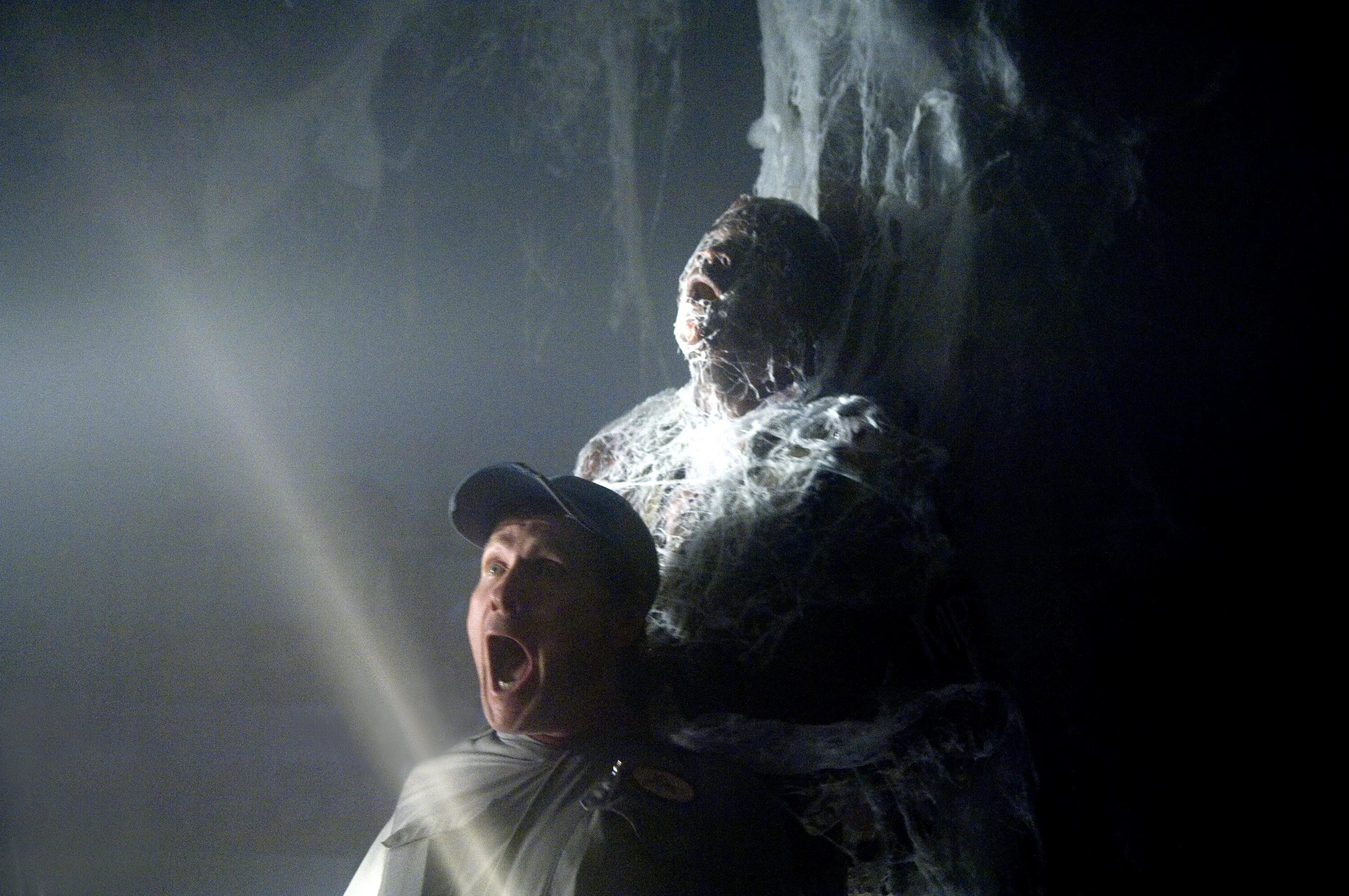 Находит мгла. Мгла фильм 2007. мгла  the mist  ужасы, 2007. мгла стивен кинг фильм. мгла фильм 2007 чудовище.