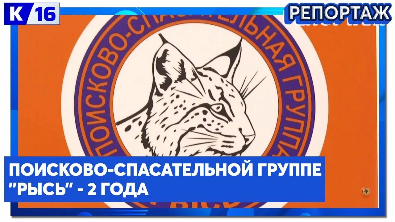 Группа рысь. Рысь Саров. Рысь Саров поисковый отряд. Спасательная группа Рысь. Спасательный группа Рысь г Бор.