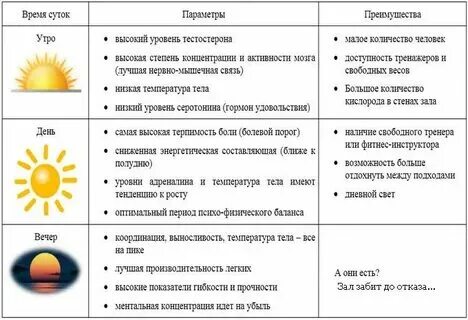 Почему витамин д пьют с утра
