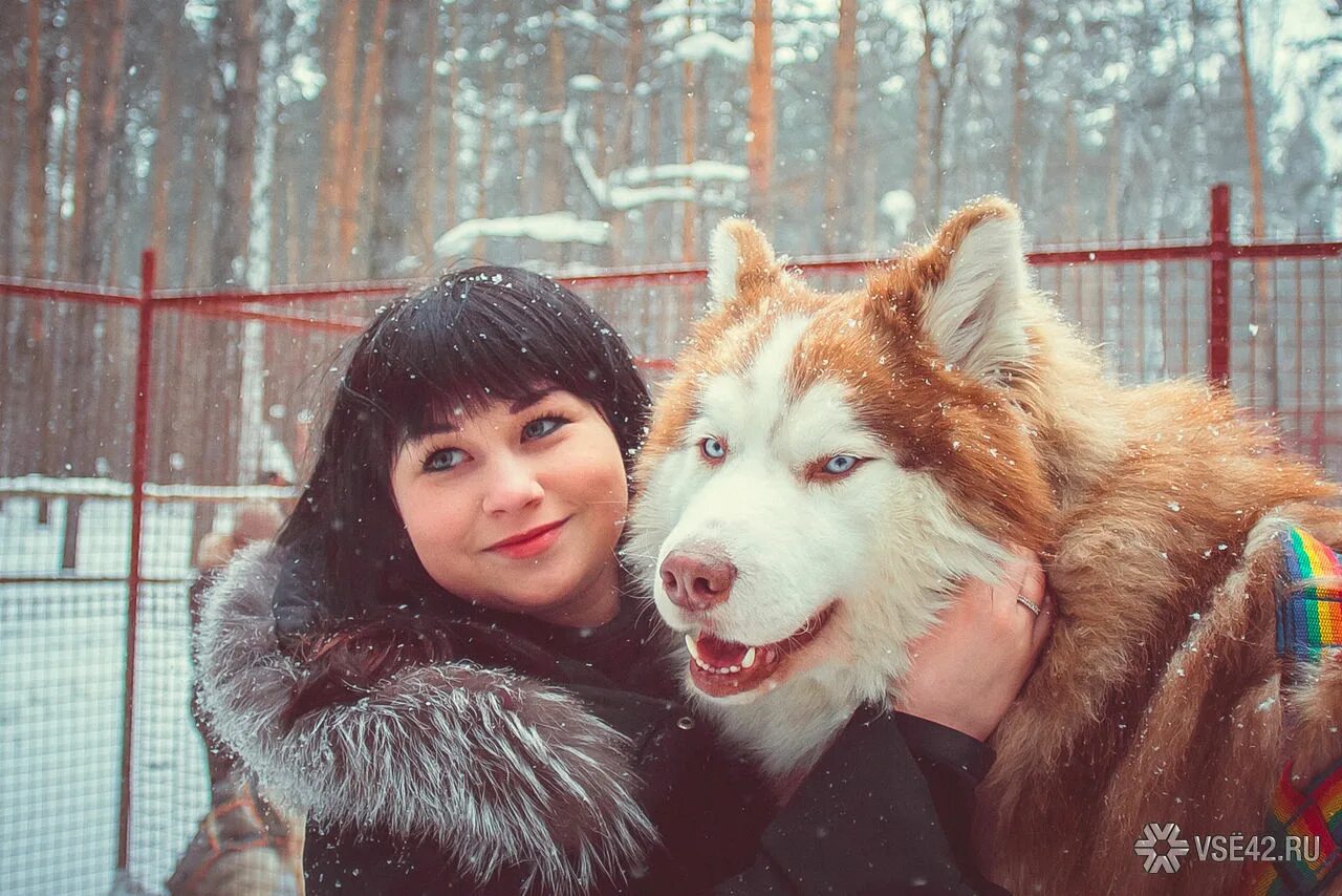 Хаски лэнд кемерово елыкаево. Хаски Елыкаево. Хаски ленд Елыкаево Кемеровская. Хаски Лэнд Кемерово Елыкаево летом. Хаски Лэнд в Москве.